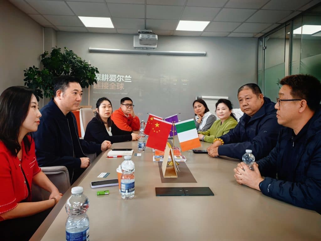 Easy2Go活动 · 搭建中爱经贸桥梁｜爱尔兰中国商会对接北京昌平区，深化双向合作